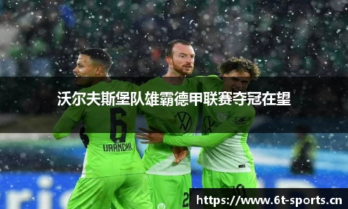 6t体育