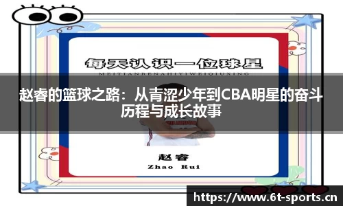 6t体育平台